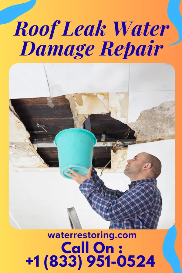 Roof Leak Water Damage Repair in Scurry, TX
